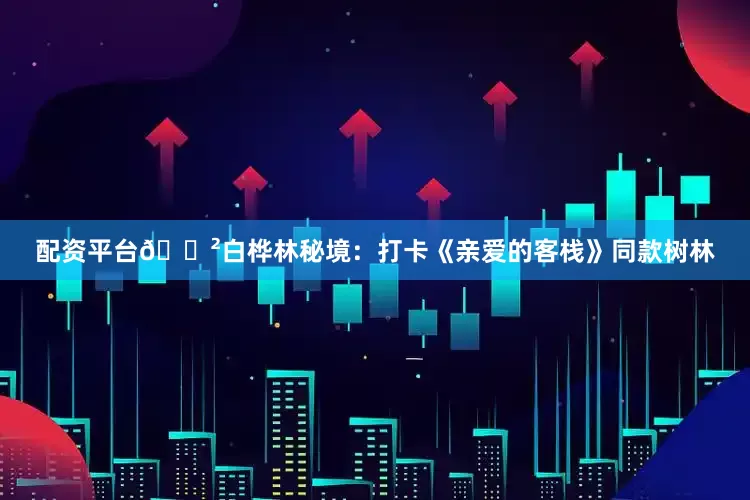 配资平台🌲白桦林秘境：打卡《亲爱的客栈》同款树林