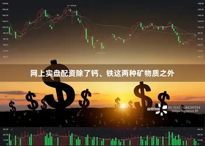 网上实盘配资除了钙、铁这两种矿物质之外
