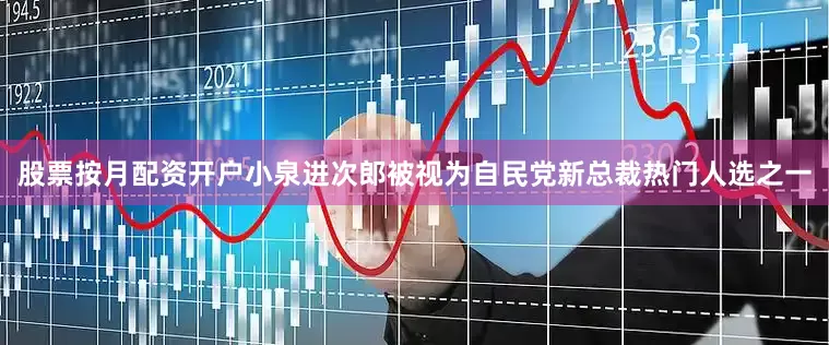 股票按月配资开户小泉进次郎被视为自民党新总裁热门人选之一