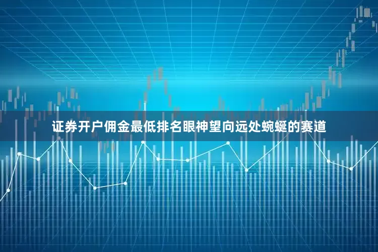证券开户佣金最低排名眼神望向远处蜿蜒的赛道
